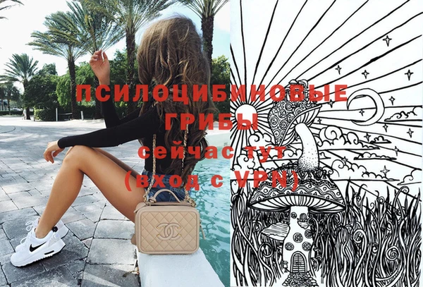 дживик Баксан